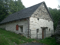 Crana