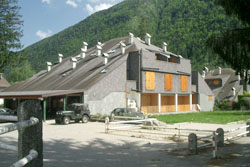 Residence Abeti